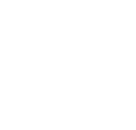 IMAGEWORKS BM Monochrom 450