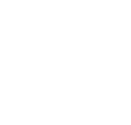 IMAGEWORKS BM Monochrom 450